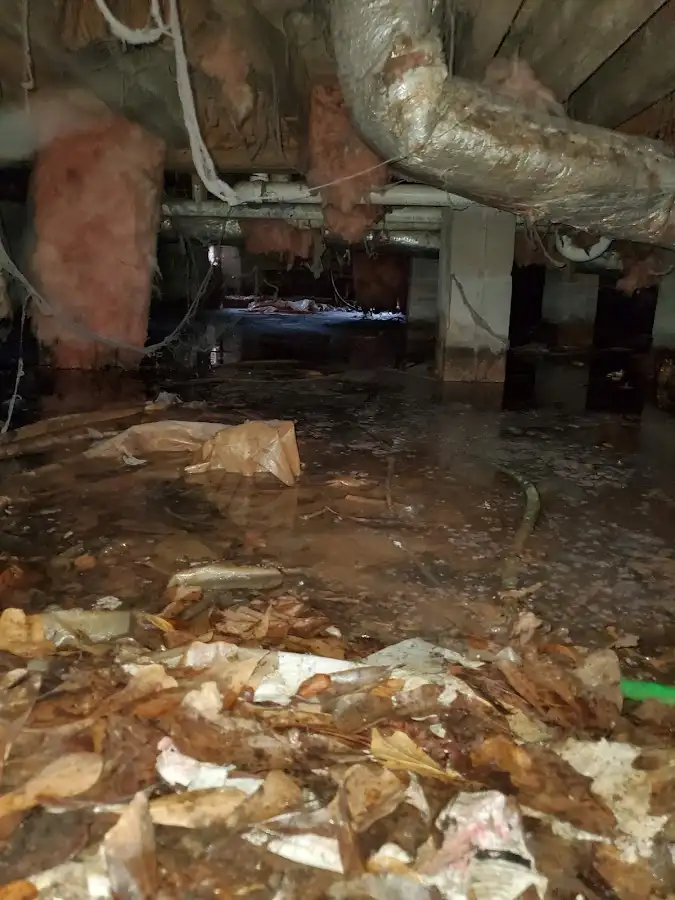 Crawl space flood assessment for Leak Detection & Repair in Maitland