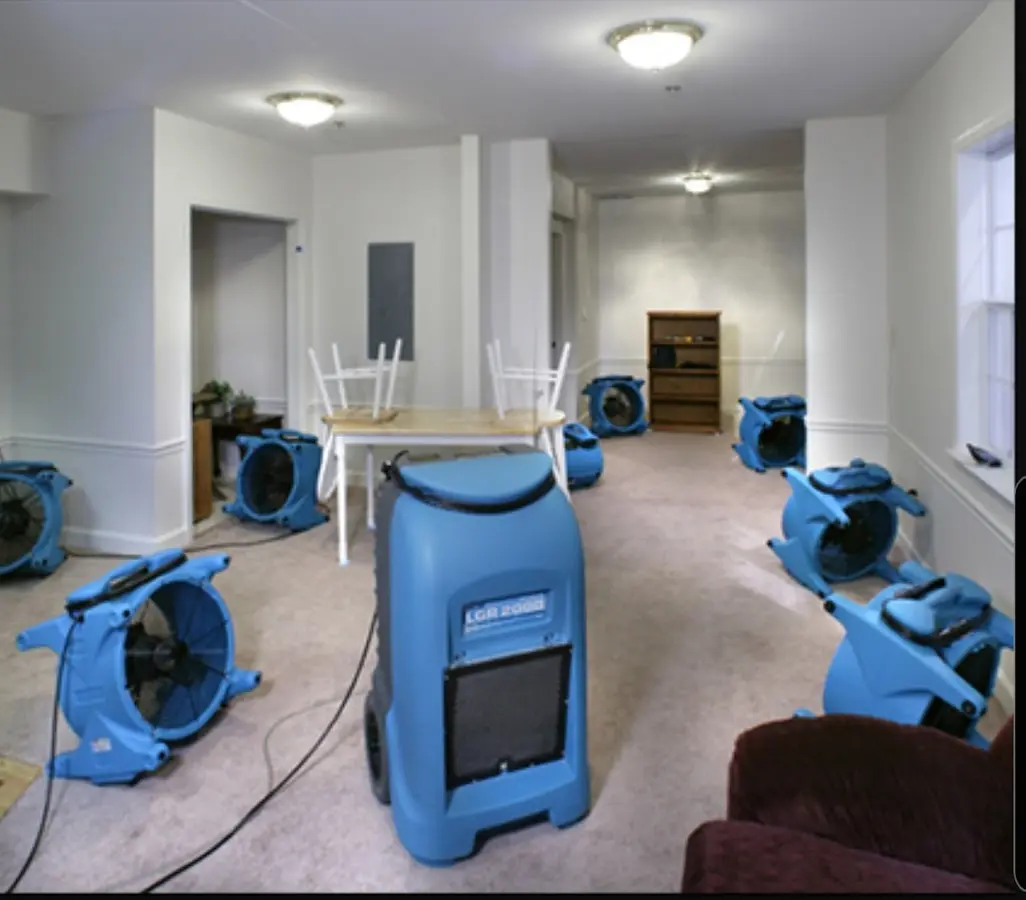 Air movers and dehumidifier setup for Water Extraction & Removal in Maitland